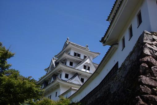 郡上八幡城 郡上八幡城 郡上八幡城,郡上八幡,城の写真素材