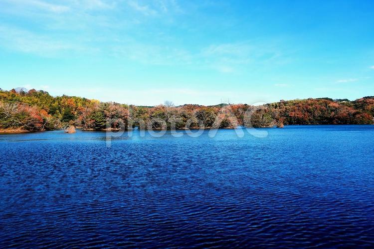 一碧湖 初冬の景色２０２４ 初冬,晩秋,一碧湖の写真素材