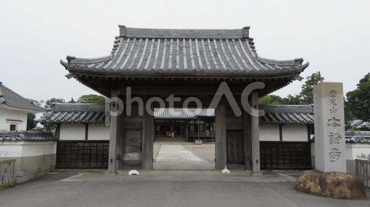 本證寺　大門 本證寺,浄土真宗,真宗大谷派の写真素材