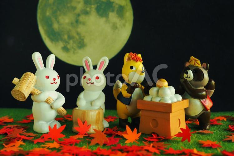 ウサギの餅つきと狐と狸が化かし合い 十五夜,団子,うさぎの写真素材