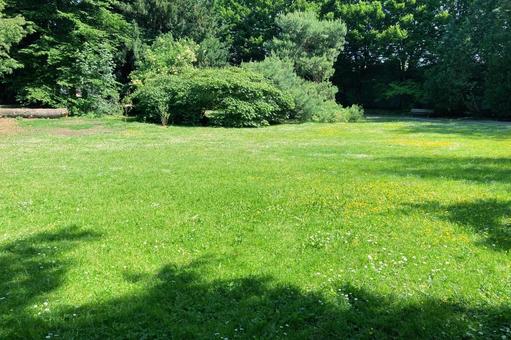 緑の公園の背景 緑の公園の背景 芝生,グリーン,公園の写真素材