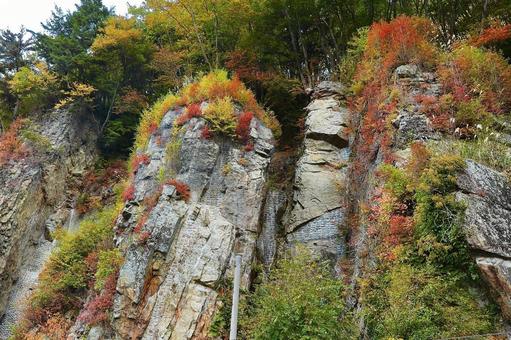 山田牧場付近5の写真