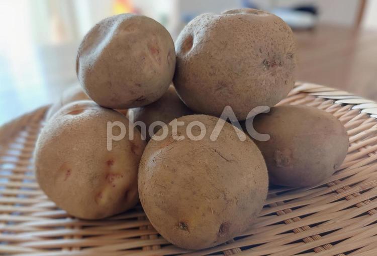 かごとじゃがいも1 じゃがいも,食品,野菜の写真素材
