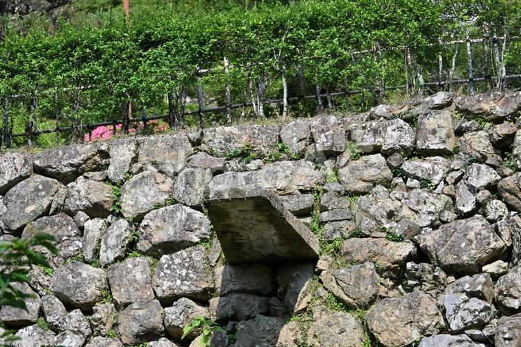 高知城 高知城,城,高知の写真素材