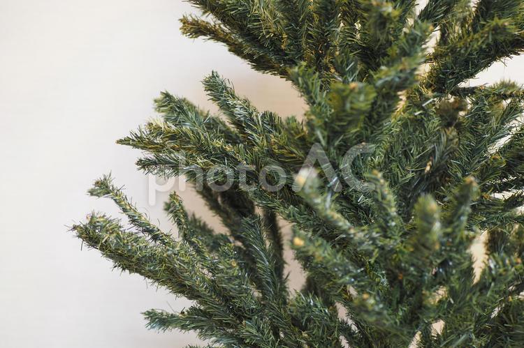 飾り付け前のクリスマスツリー(もみの木) 冬,もみの木,クリスマスツリーの写真素材
