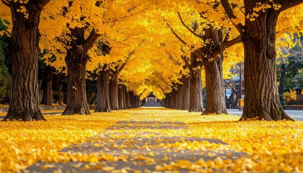 秋色に染まるイチョウ道 秋色に染まるイチョウ道の写真