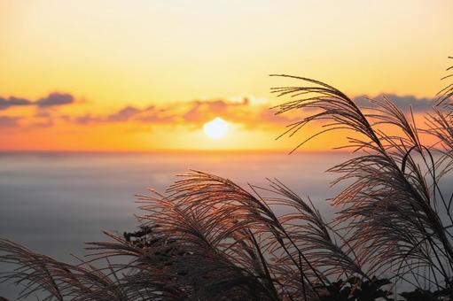 逆光で光るススキと海辺の絶景 逆光で光るススキと海辺の絶景 夕日,夕焼け,夕暮れの写真素材