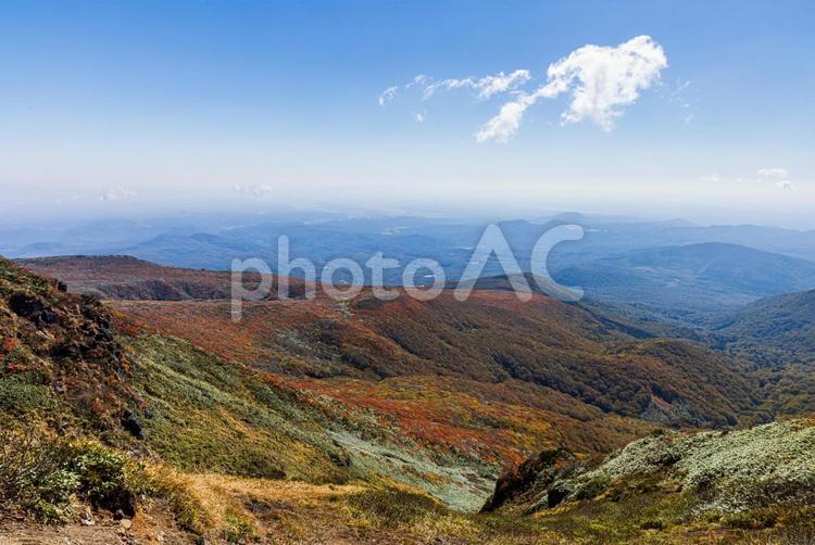 秋色に染まる　栗駒山の絶景 山,秋,紅葉の写真素材