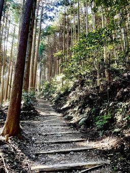 山道 山道の写真