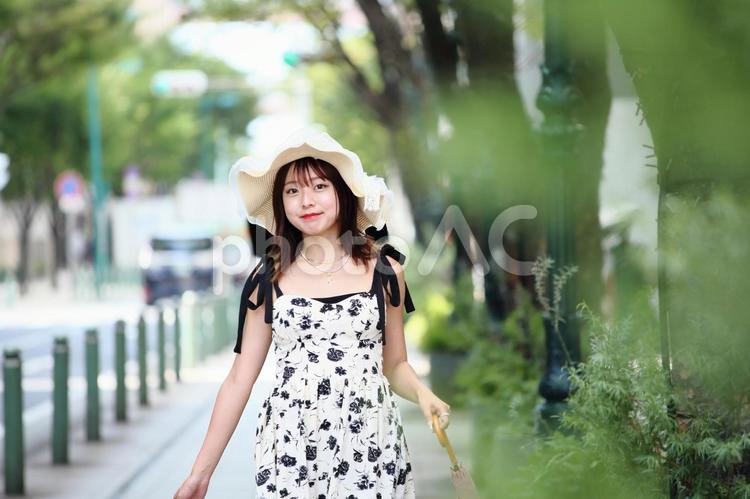 ケヤキ並木の舗道を歩く女性 女性,舗道,歩くの写真素材
