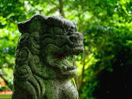 緑深い神社の狛犬 緑深い神社の狛犬の写真