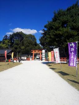 京都 上賀茂神社 秋 風景 鳥居 七五三 京都,上賀茂神社,秋の写真素材