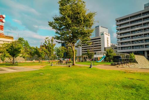【福井】福井市中央公園 【福井】福井市中央公園 福井,公園,福井市中央公園の写真素材