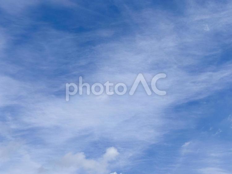 【風景写真】夏空 夏空,空,雲の写真素材