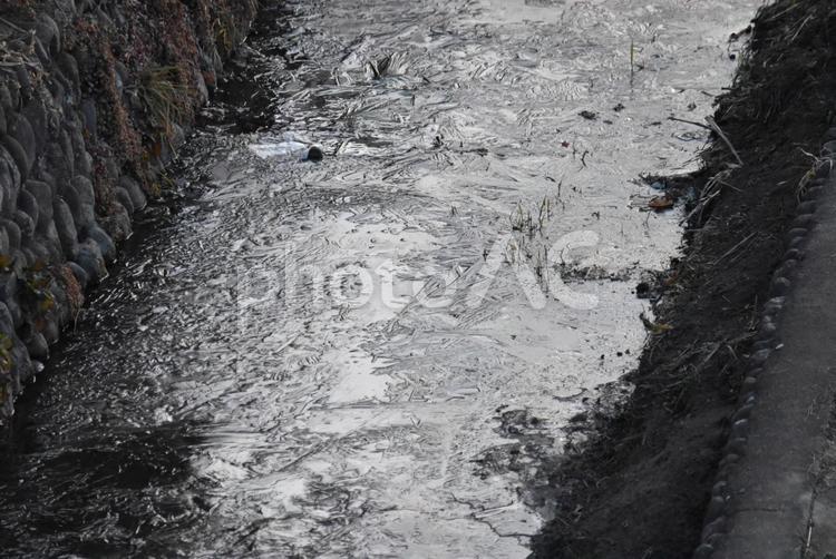 氷の張る水路 水路,氷,冬の写真素材