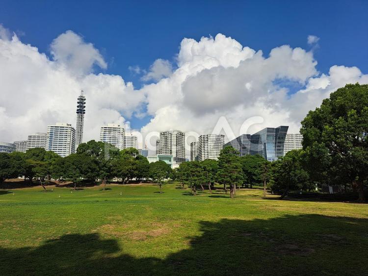 臨港パークとみなとみらいのビル街 晴れ,晴天,快晴の写真素材