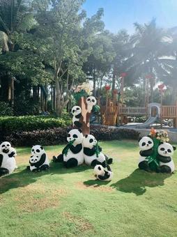 海南島の公園に集まるパンダたちの仲間の写真