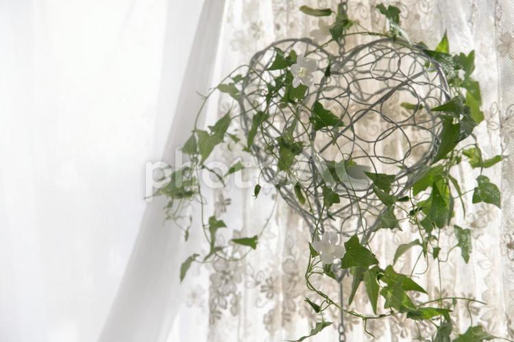 ツタとハート横 蔓,葉,インテリアの写真素材