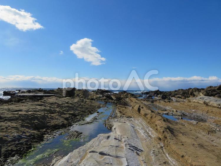南房総市野島崎の風景 野島崎,岩場,磯の写真素材