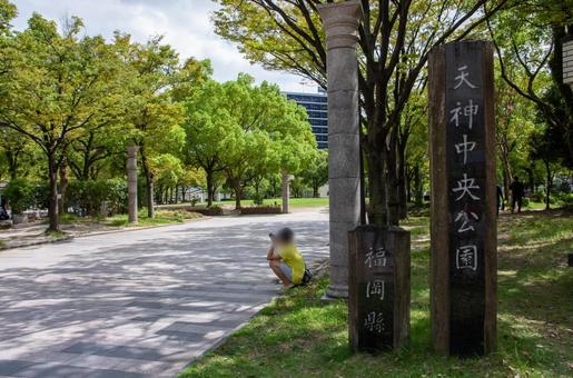 夏の天神中央公園 夏の天神中央公園 天神中央公園,公園,猛暑日の写真素材