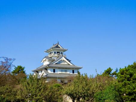 秋日の長浜城模擬天守4 長浜城,長浜市,長浜の写真素材