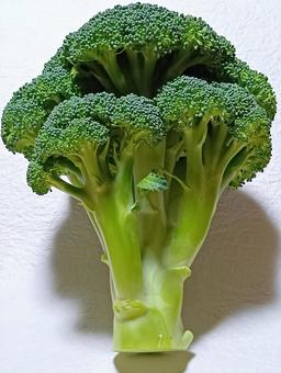 ブロッコリー ブロッコリー,野菜,食材の写真素材