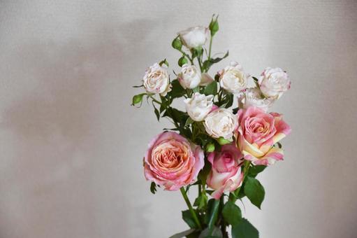 カラフルな薔薇 カラフルな薔薇の写真