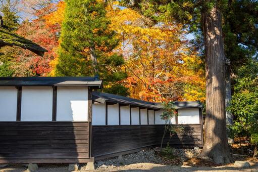 佐々木家住宅の秋景色(22) 晩秋,紅葉,モミジの写真素材