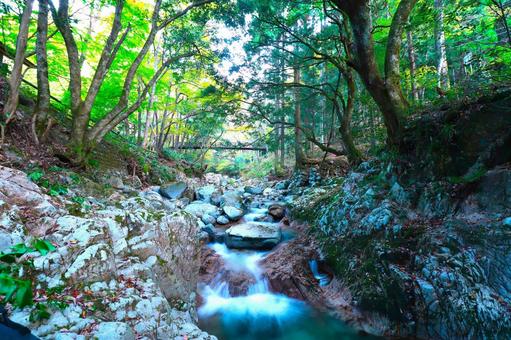 渓流 渓流の写真