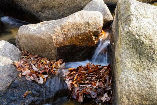 晩秋の不動尊公園キャンプ場⑸ 晩秋,紅葉,川の写真素材