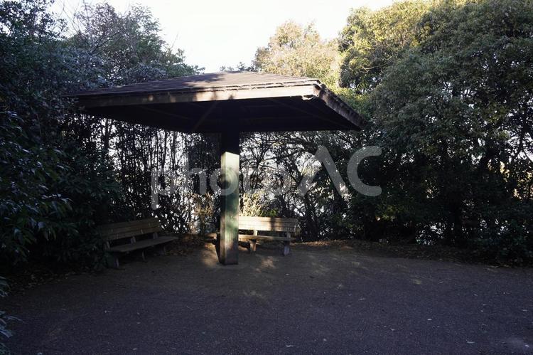 公園の東家 東家,道,木々の写真素材