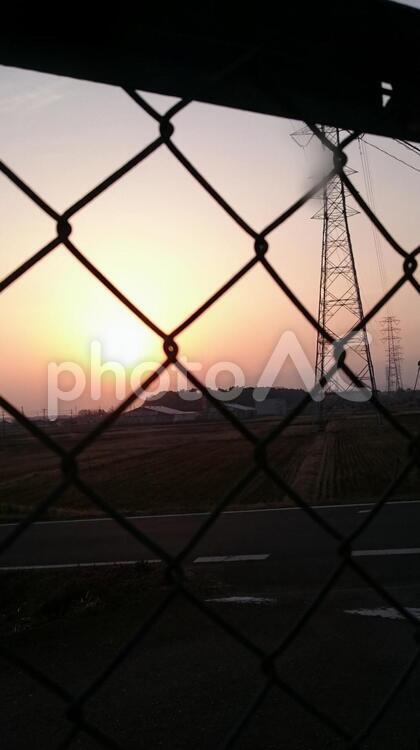 フェンス越しの夕日 フェンス,夕日,夕方の写真素材
