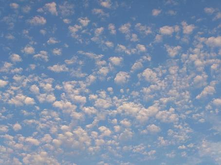 夕暮れ時の鱗雲 夕暮れ時の鱗雲の写真