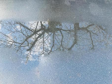 水たまりと反射する空の写真