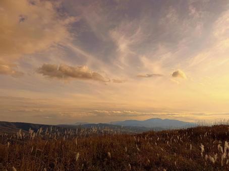 歌島高原の夕焼けに染まるススキ 歌島高原,島牧村,北海道の写真素材