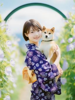 朝顔柄の浴衣を着た女性と柴犬と朝顔 朝顔柄の浴衣を着た女性と柴犬と朝顔の写真