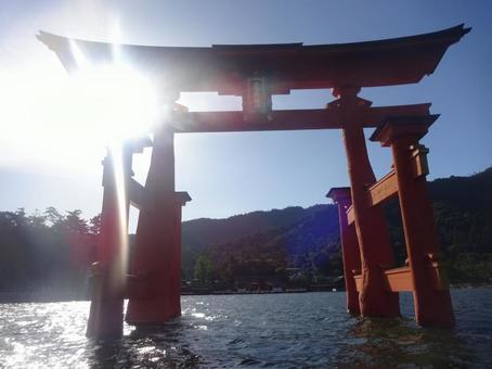 厳島神社 厳島神社,鳥居,宮島の写真素材