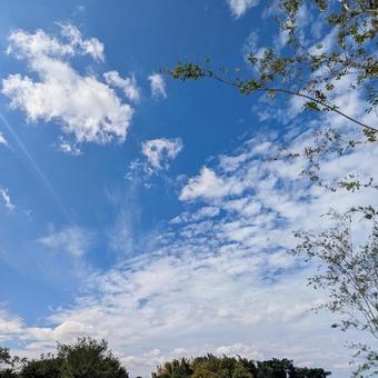 空 空の写真