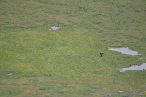 アフリカタンザニアのンゴロンゴロ保全地域 ンゴロンゴロ,アフリカ,タンザニアの写真素材