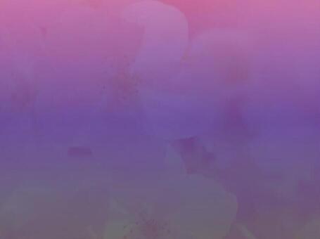 ダークなイメージの桜の花 ダークなイメージの桜の花の写真