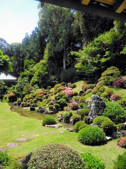 龍潭寺庭園 龍潭寺庭園 龍潭寺,庭園,小堀遠州の写真素材
