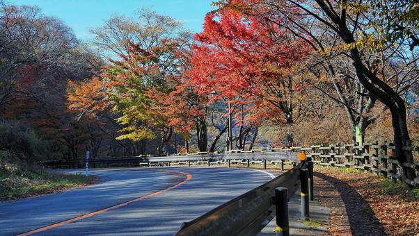 秋の榛名湖湖畔 紅葉,アウトドア,登山の写真素材