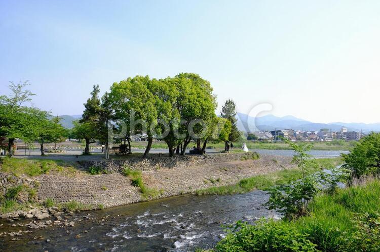 川の中州で 風景,京都,桂川の写真素材