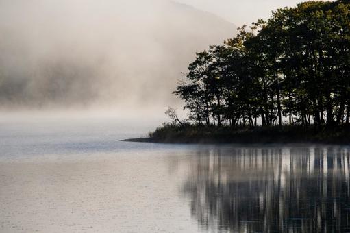 鏡の様な湖面に浮かぶ霧と森のシルエット  朝霧,早朝,幻想的の写真素材