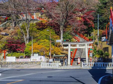 【栃木県】足利市・足利織姫神社 足利織姫神社,足利市,寺社仏閣の写真素材