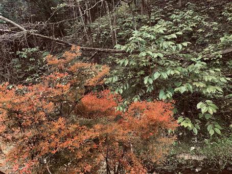 群馬県桐生市の景色3 群馬県,群馬,桐生の写真素材