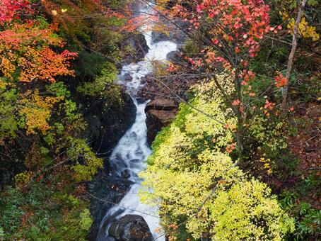 紅葉の渓流 紅葉の渓流の写真