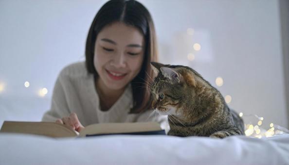 猫と本と、やさしい午後 猫と本と、やさしい午後の写真