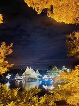 兼六園紅葉ライトアップ 兼六園紅葉ライトアップ 兼六園,紅葉,金沢の写真素材