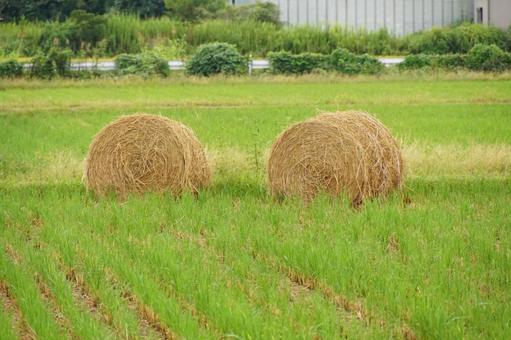 藁ロール 藁ロールの写真